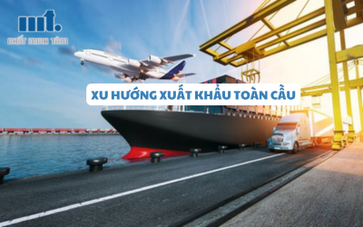 Xu Hướng và Thách Thức của Thị Trường Xuất Khẩu Toàn Cầu