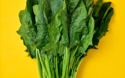 Nhập tiêu đề ở đây