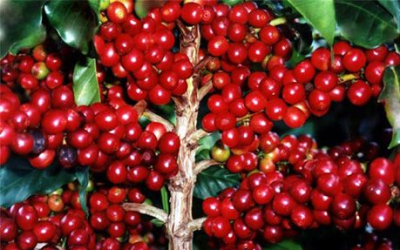 Nhập tiêu đề ở đây.1