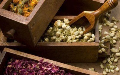 Nhập tiêu đề ở đây4