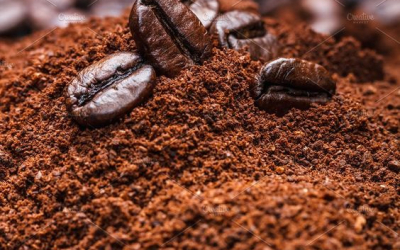 Nhập tiêu đề ở đây3