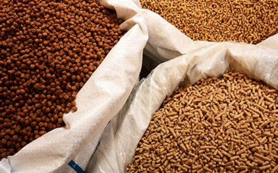 Nhập tiêu đề ở đây2